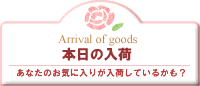 本日の入荷